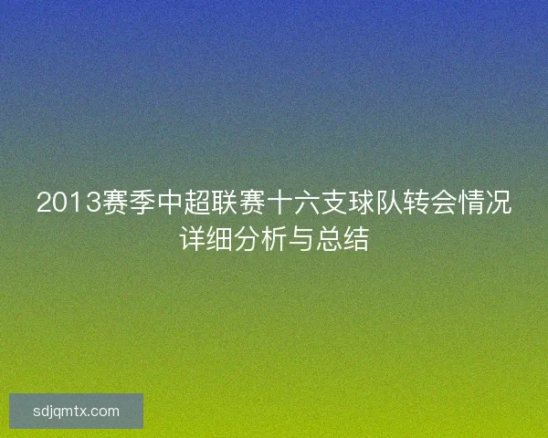 2013赛季中超联赛十六支球队转会情况详细分析与总结